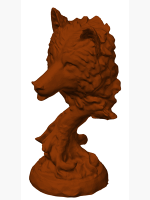 Kurt Kafası 3D Tarama Modeli