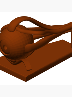 İnsan Gözü Anatomik Model