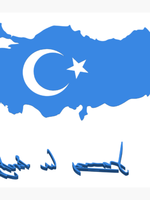 Atatürk İmzası Dekoratif Duvar Tablosu