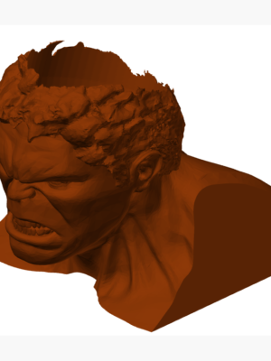 Hulk Marvel Koleksiyon Figürü
