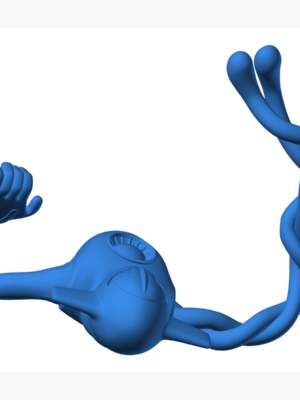 Rayquaza 5 3D Baskı Modeli — Pokémon