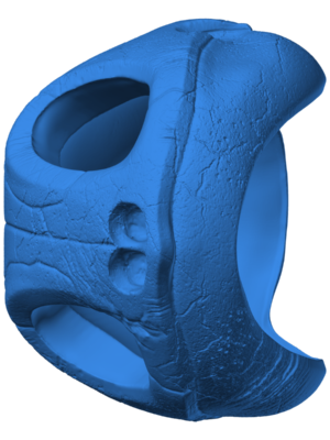 Squirtle 27 3D Baskı Modeli — Pokémon