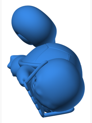 Squirtle 35 3D Baskı Modeli — Pokémon