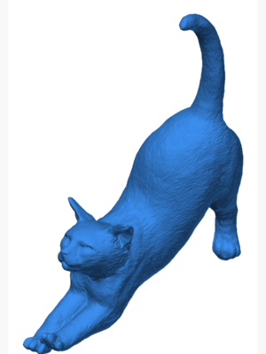 Gerinen Kedi 3D Baskı Modeli