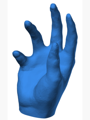 Gerçekçi İnsan Eli 3D Baskı Modeli