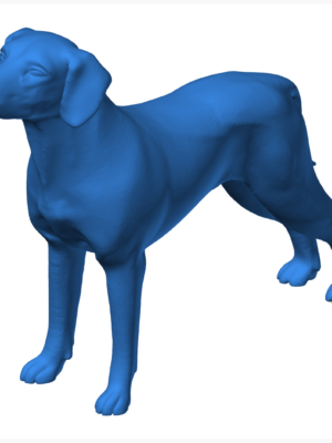 Gerçekçi Köpek Figürü Modeli