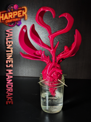 Valentine Mandrake   Sprouting Heart