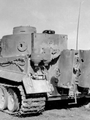 PZ Tiger (P) Alman Ağır Tankı 3D Baskı STL Modeli