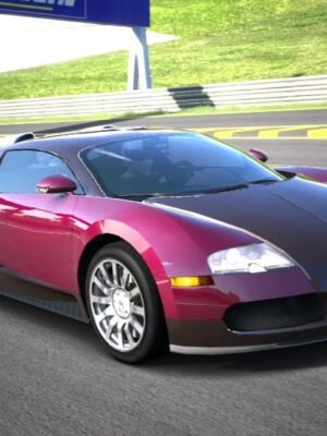 Bugatti Veyron (2)