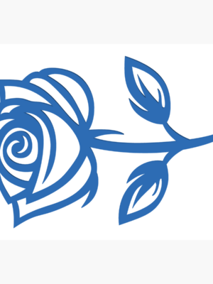 International Womens Day Valentines Day Rose 5