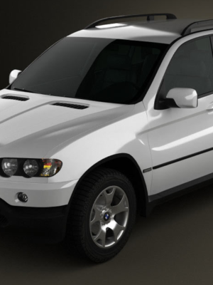 BMW X5 E53 2000