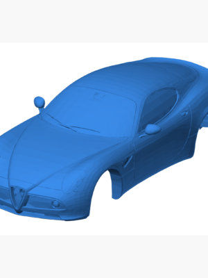 Alfa Romeo 8C Gauderio - Yalnızca Şase