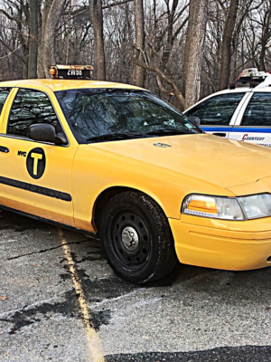 Ford Crown Victoria 1:100 Ölçek 3D Baskı STL – Polis ve Taksi Varyantlı