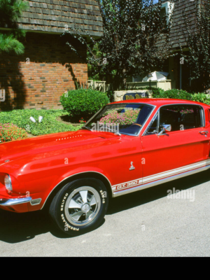 Ford Mustang Mk1 350GT 1969 3D Baskı Modeli STL