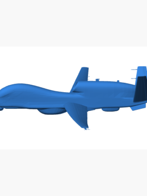 MQ-4C Triton İnsansız Hava Aracı 3D Baskı STL