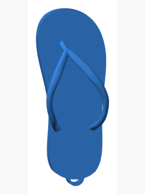 Flip Flop Hanger 3D Baskı STL – 2 Dosya