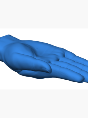 The Command Hand