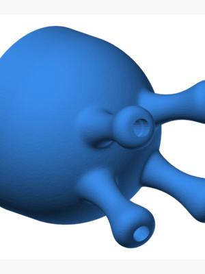 Milk Udder