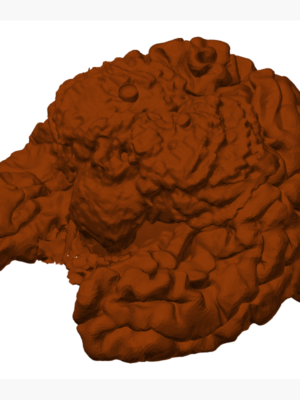 Beyin Gece Lambası - 3D Baskı Dekoratif Aydınlatma