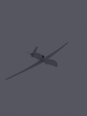 MQ-4C Triton İnsansız Hava Aracı 3D Baskı STL