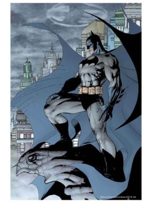 Batman Eklemli Aksiyon Figürü